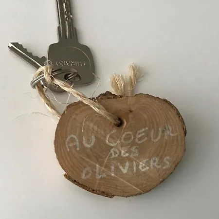 D Hotes Au Coeur Des Oliviers * Marsella